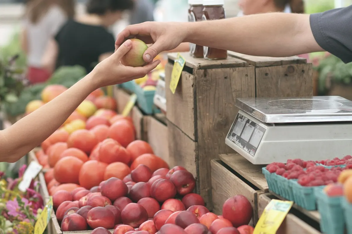 10 Questions to Ask at a Farmers' Market Before Buying Local Cheese